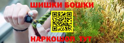 МДПВ Лесосибирск