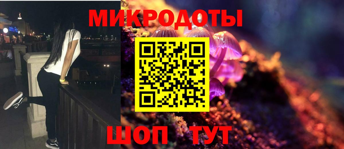 Волоколамск  Псилоцибиновые грибы Psilocybe  Вход с VPN 