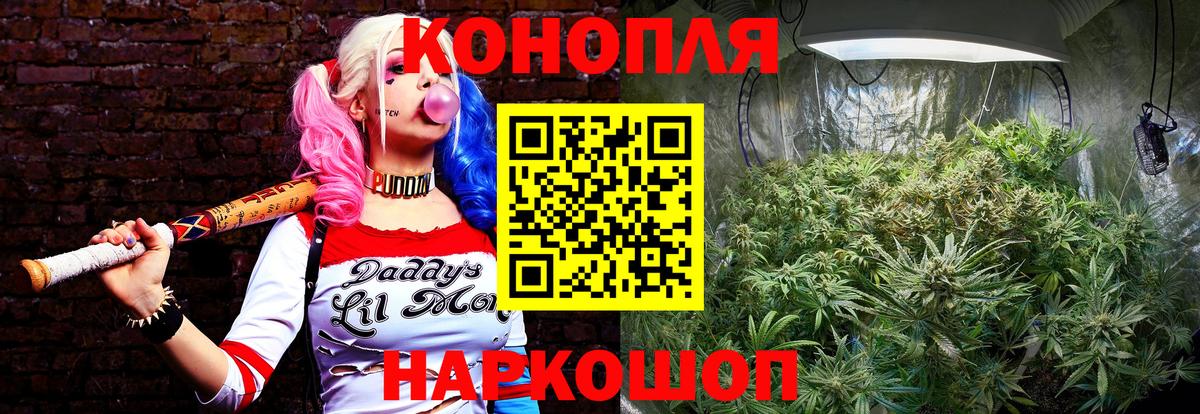 Каннабис гибрид Волоколамск